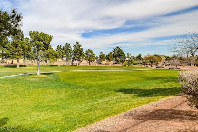 view of community with a yard