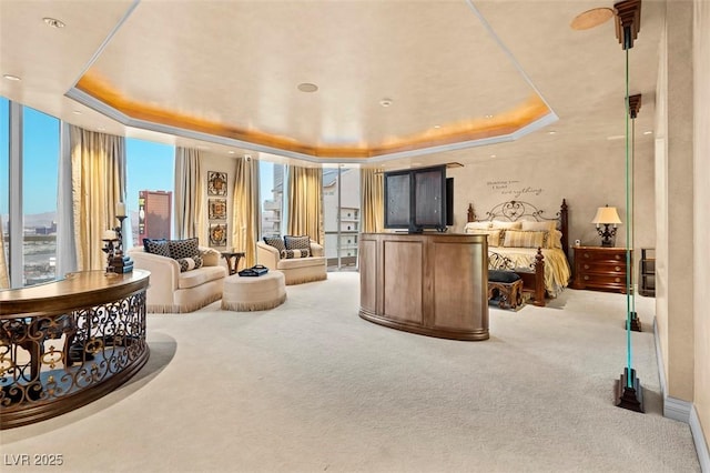 carpeted living room with a tray ceiling