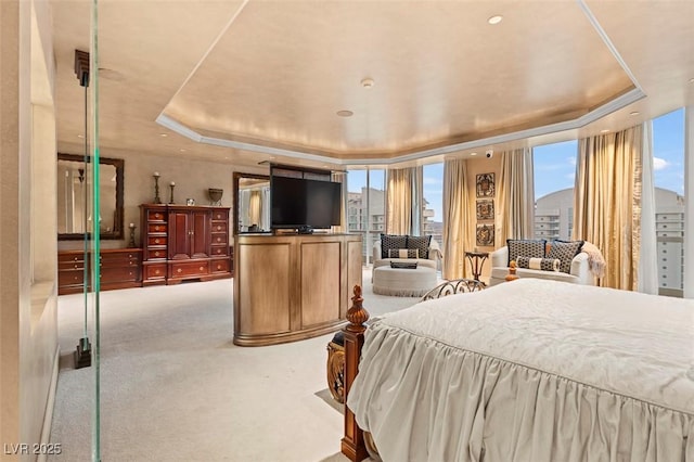 carpeted bedroom featuring a tray ceiling