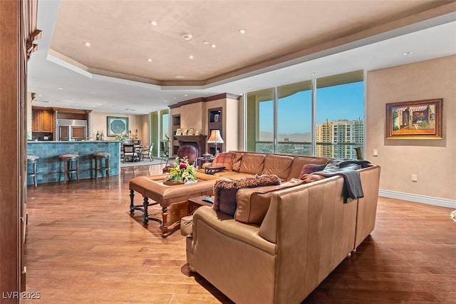 living room with a raised ceiling and light hardwood / wood-style flooring