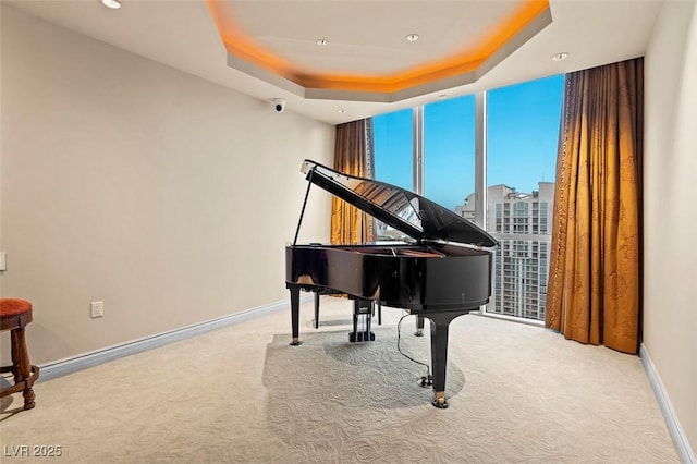 misc room featuring light carpet and a raised ceiling