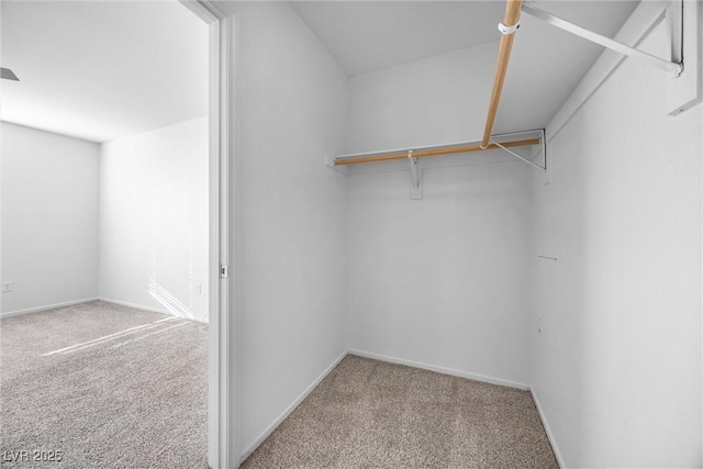 walk in closet with carpet