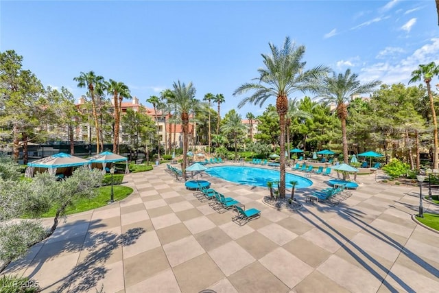 view of pool with a patio area