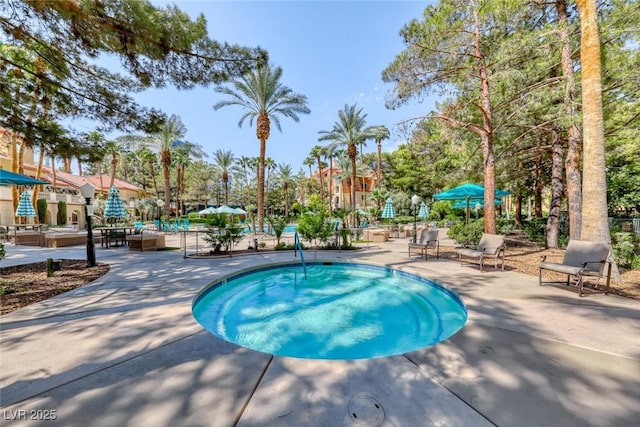 view of pool featuring a patio area