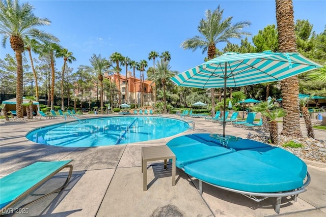 view of swimming pool with a patio area