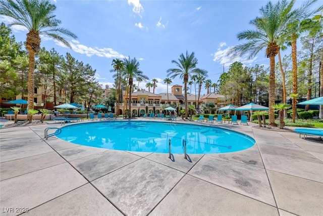 view of pool featuring a patio