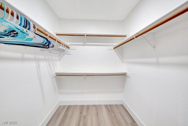 spacious closet with wood-type flooring