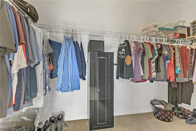 spacious closet with carpet