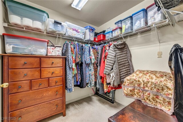 spacious closet featuring light carpet