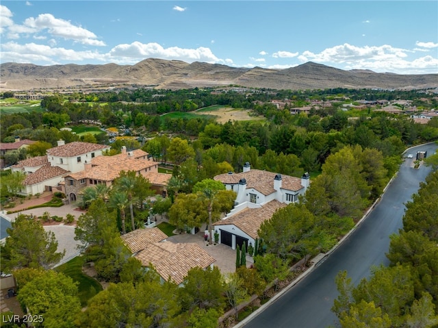 drone / aerial view featuring a mountain view