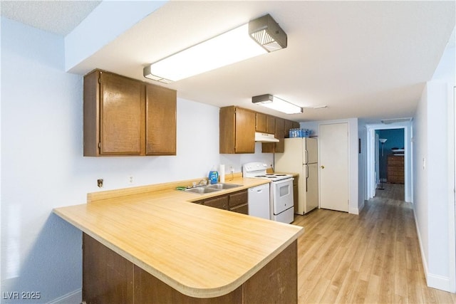 kitchen featuring sink, light hardwood / wood-style flooring, white appliances, and kitchen peninsula