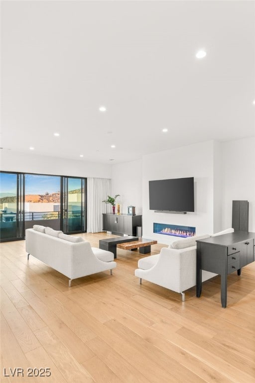 living room with light hardwood / wood-style flooring