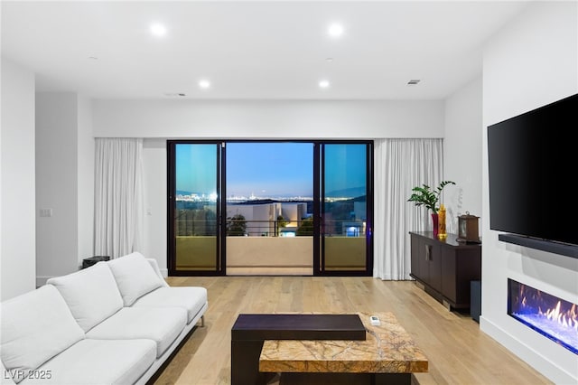 living room featuring light hardwood / wood-style flooring