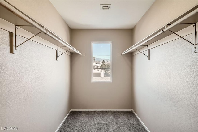 walk in closet featuring carpet