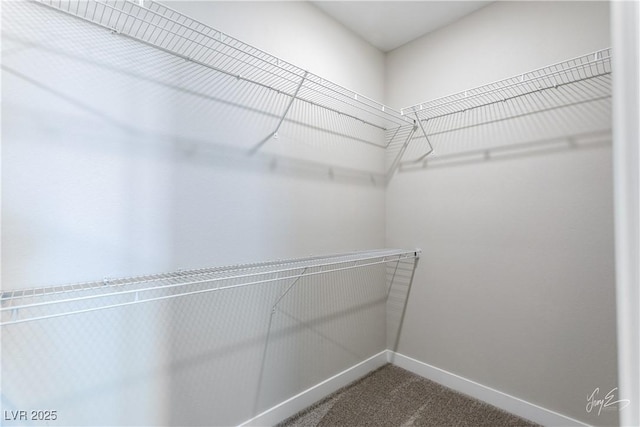 spacious closet with carpet