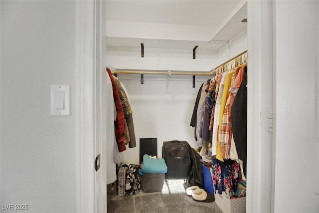 walk in closet with carpet flooring