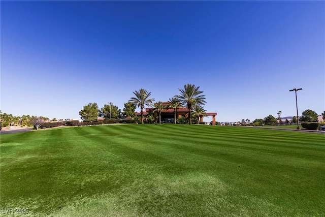 view of community with a lawn