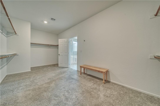 spacious closet with light carpet