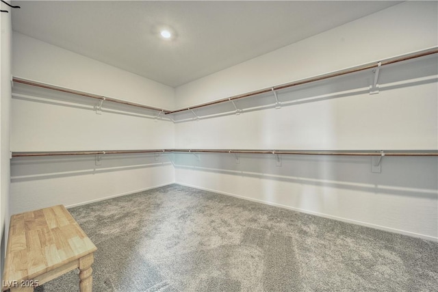 spacious closet with carpet floors