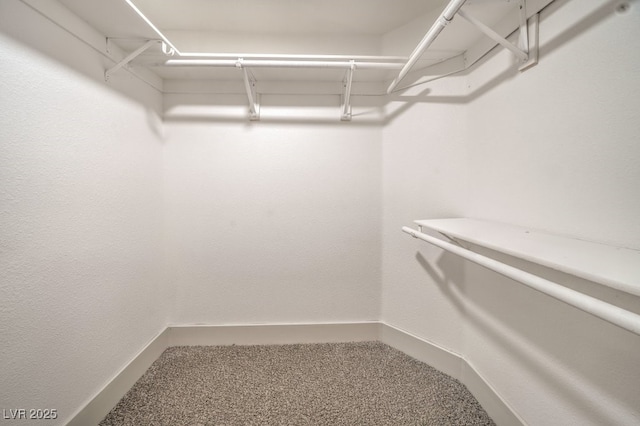 spacious closet featuring carpet floors