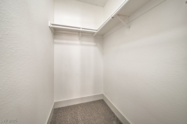 spacious closet with carpet flooring