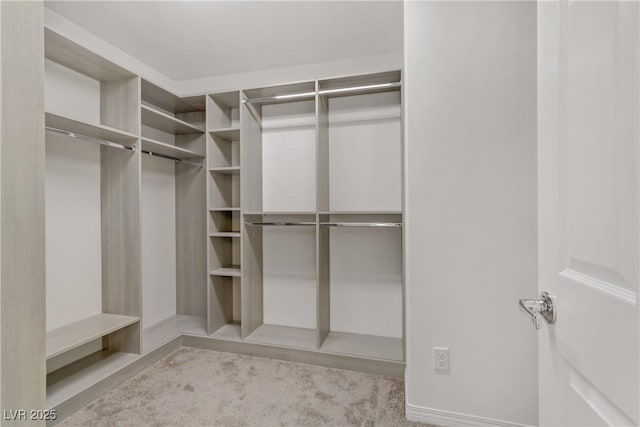 view of walk in closet