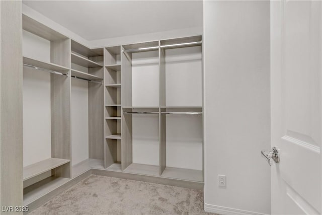 7075 Jasper Hill Way, Las Vegas, NV 89118 - walk in closet with carpet
