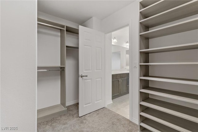 spacious closet with light colored carpet