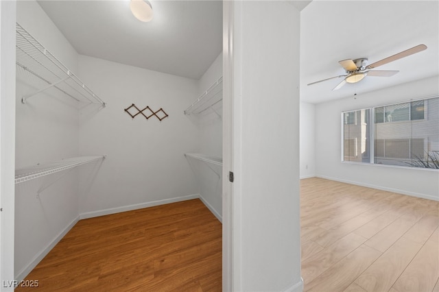 walk in closet featuring ceiling fan and light wood-type flooring