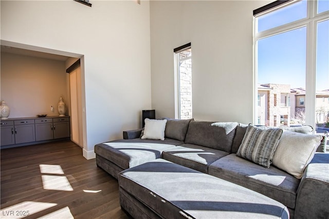 living room featuring dark hardwood / wood-style flooring