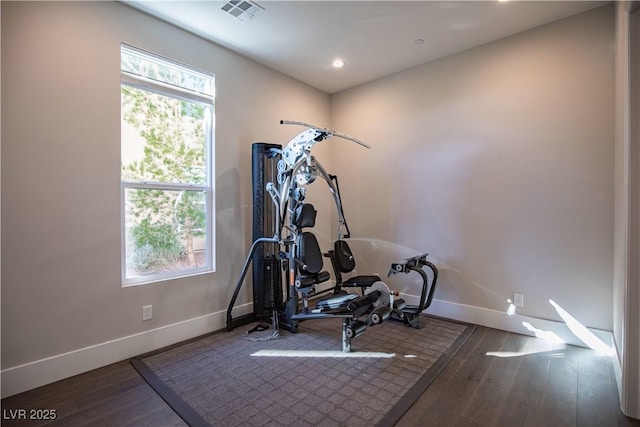 exercise room featuring dark hardwood / wood-style floors