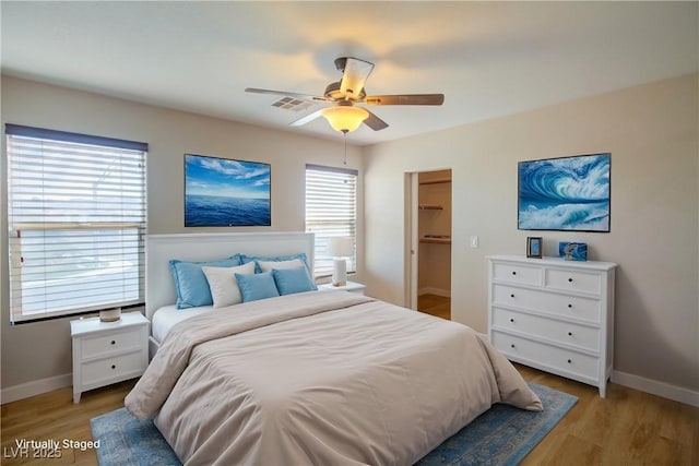 bedroom with multiple windows, a walk in closet, ceiling fan, light wood-type flooring, and a closet