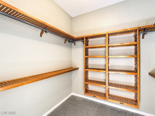 walk in closet featuring carpet flooring