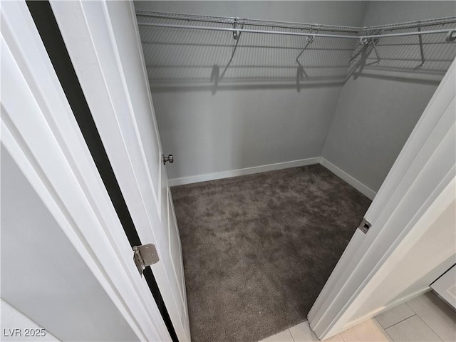 walk in closet with carpet floors