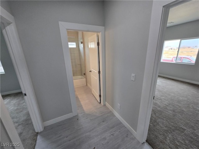 corridor featuring light colored carpet