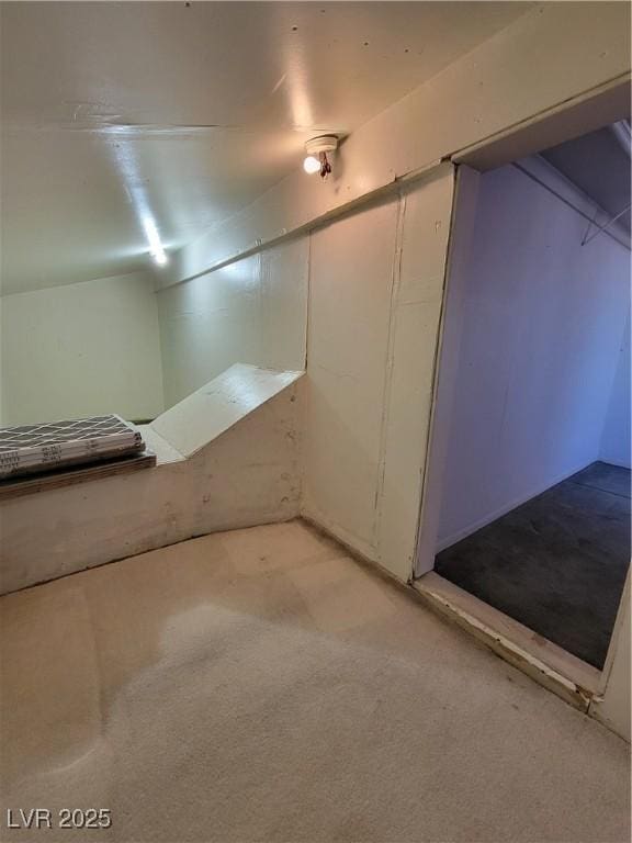 basement with light colored carpet