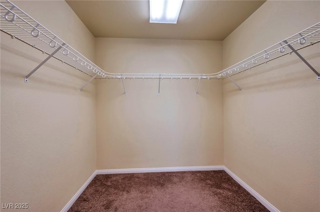 walk in closet with carpet