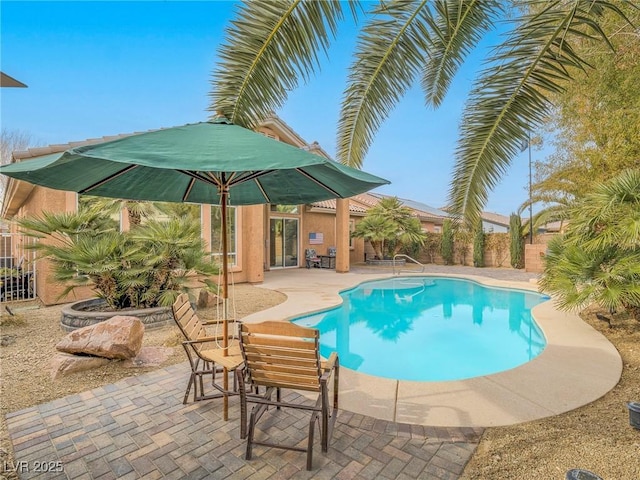 view of swimming pool with a patio