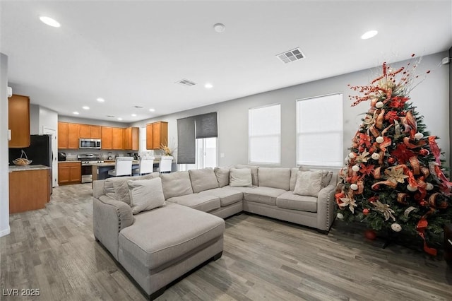 living room featuring light hardwood / wood-style floors