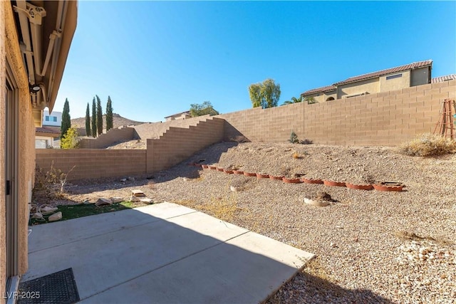 view of yard featuring a patio area