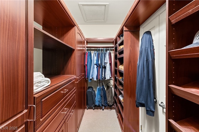 view of spacious closet