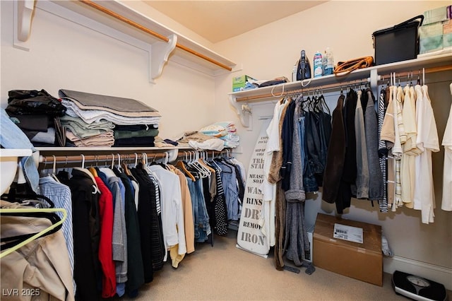 walk in closet featuring light carpet