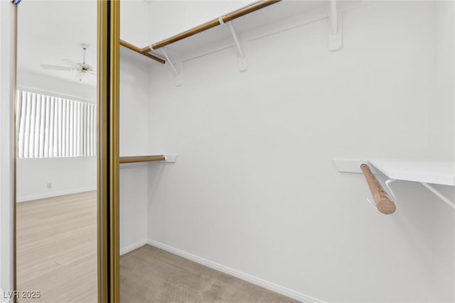 spacious closet with ceiling fan and light carpet