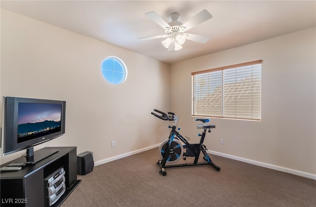 workout area featuring ceiling fan and carpet flooring