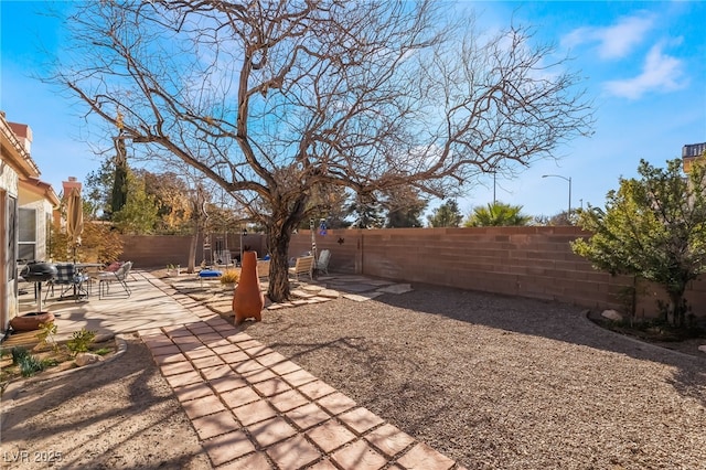 view of yard featuring a patio area