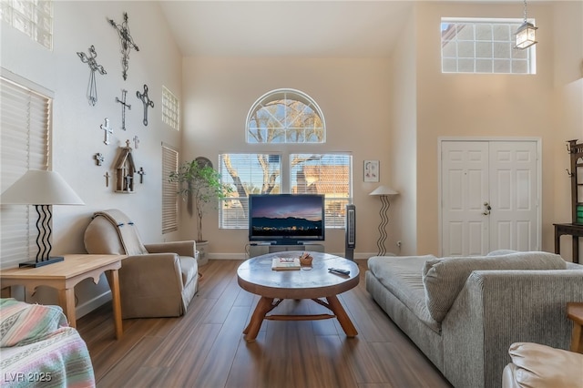 living room featuring a high ceiling and wood-type flooring