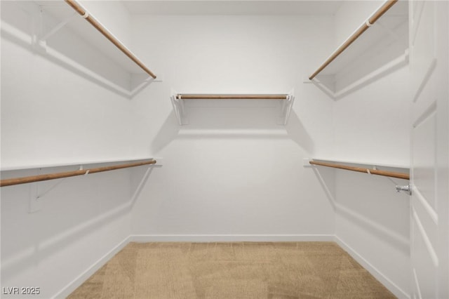 walk in closet with carpet