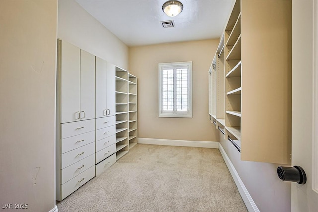 spacious closet with light carpet