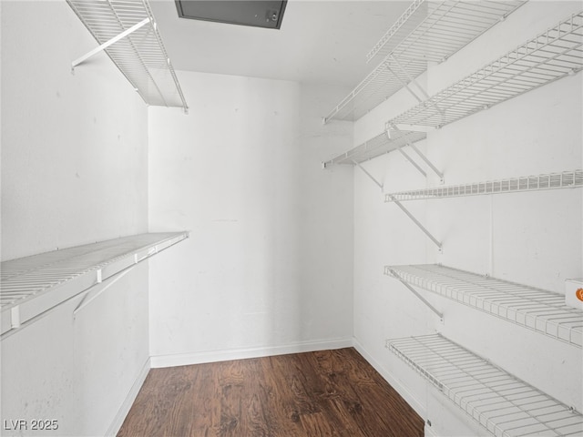 walk in closet featuring wood finished floors