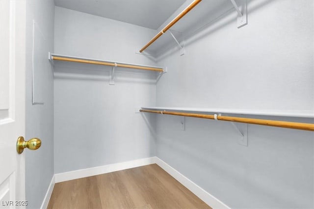 spacious closet featuring hardwood / wood-style flooring